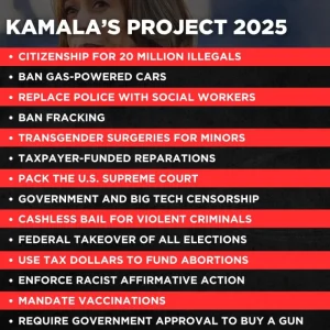 Kamalas-Project-2025